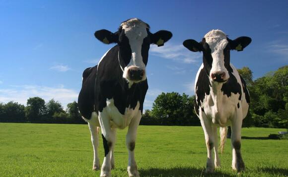 The Murrow AD plant produces gas using cattle manure and straw as feedstocks