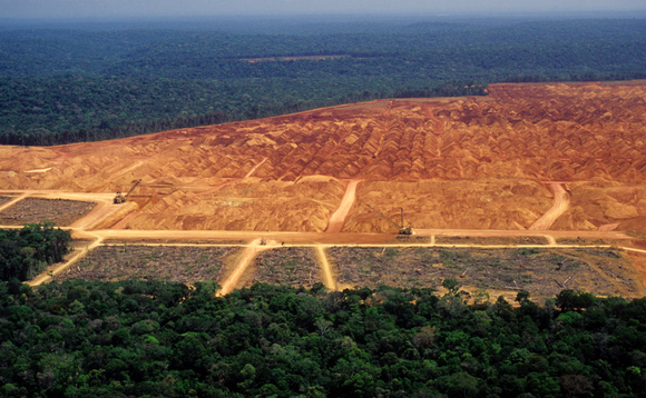 Wri Primary Rainforest Destruction Increased 12 Per Cent Between 19 And