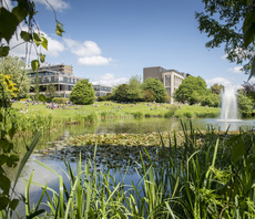 University of Bath to offer every fresher climate change training