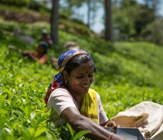 COP26: Fairtrade farmers and businesses call on world leaders to beef up agricultural resilience